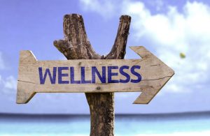 How to use data to make the case for your wellness programs