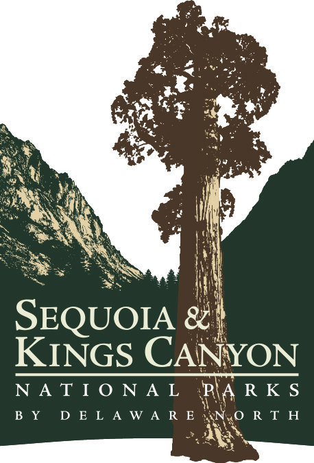 Sequoia & Kings Canyon Digital Influencer Media Trip - Logo - https://s39939.pcdn.co/wp-content/uploads/2018/11/Use-of-Visuals-2.jpg