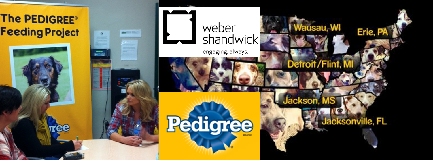 The PEDIGREE® Feeding Project  - Logo - https://s39939.pcdn.co/wp-content/uploads/2018/11/pedigree-feeding-project3.png