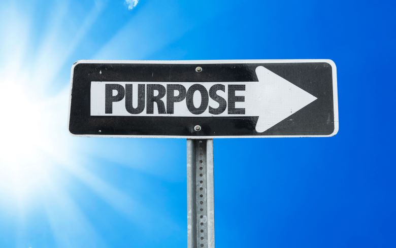 How to have a true company purpose