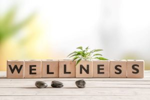 Crucial workplace wellness trends