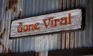 Why ‘going viral’ is overrated