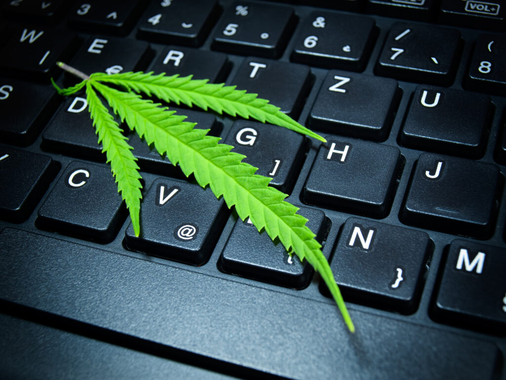 How to communicate recreational cannabis policies to employees