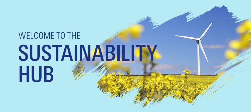 The Sustainability Hub