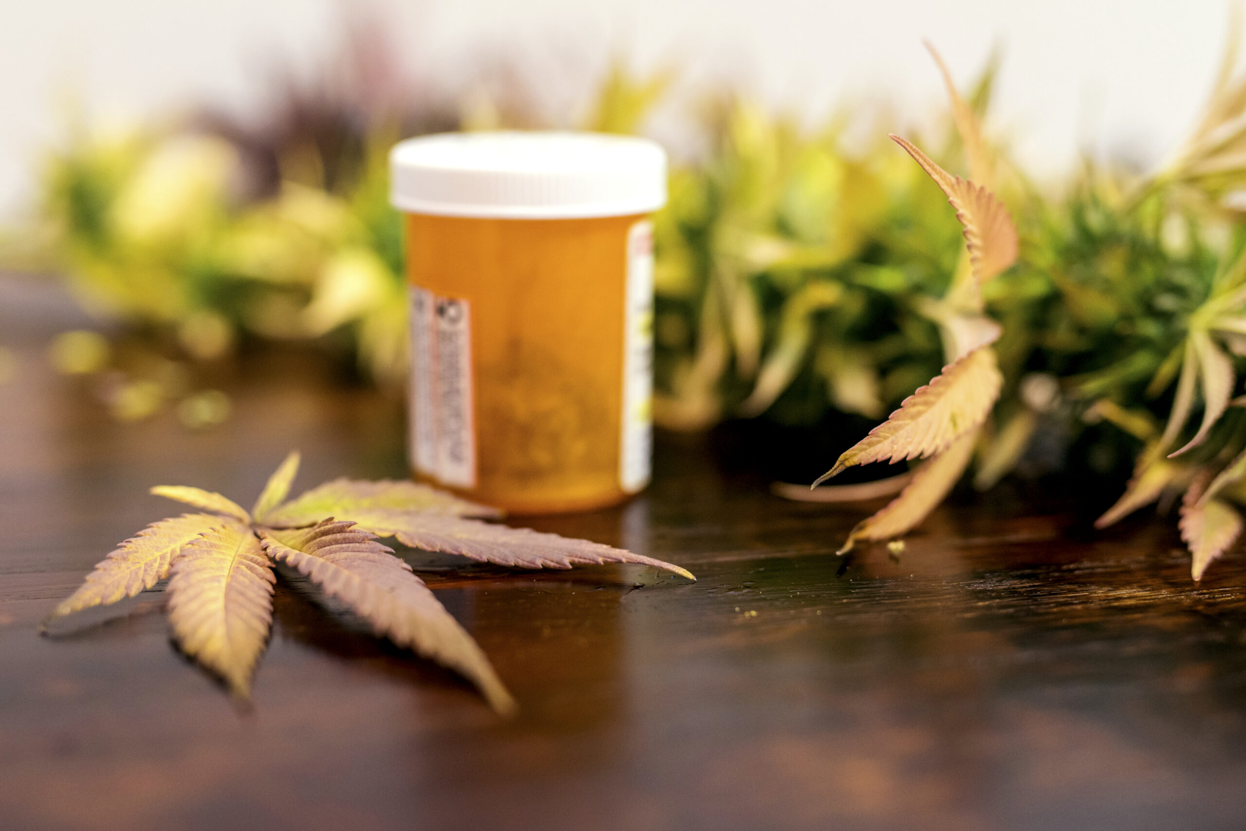 Cannabis leaf sitting next to prescription bottle of marijuana