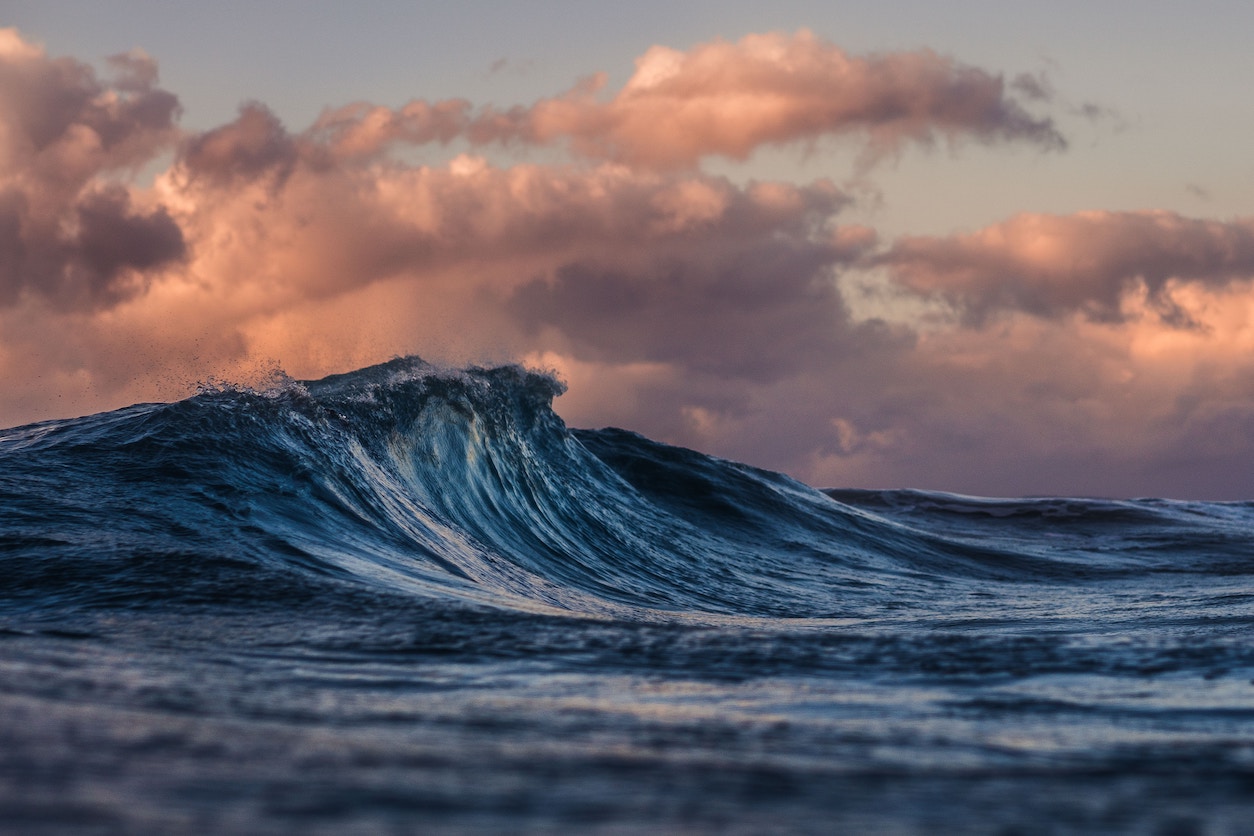 An image of a wave that accompanies a story about the etymolgy of the word "whelmed." Photo by Silas Baisch on Unsplash.