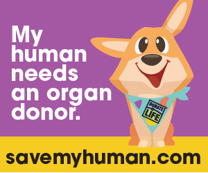 “Save My Human”