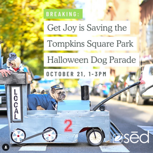 Get Joy Saves Halloween for Dogs