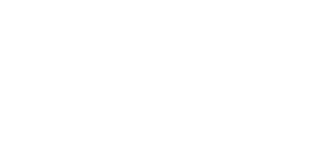 TEAM LEWIS Foundation Supports 1,500+ Causes Globally