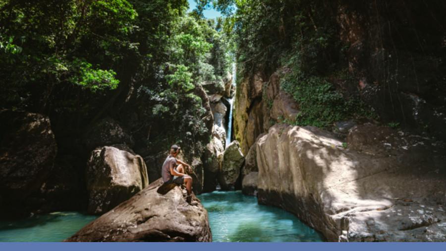 Puerto Rico Nature