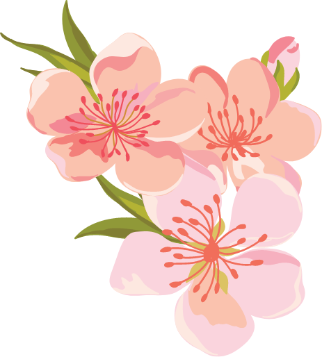 Flower Graphic